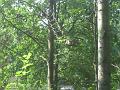 Zoo Cottbus 028